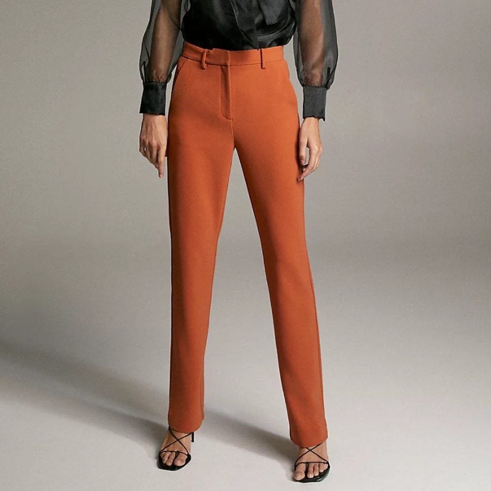 Babaton Gaudi Pants Size 2 in Rich Cognac